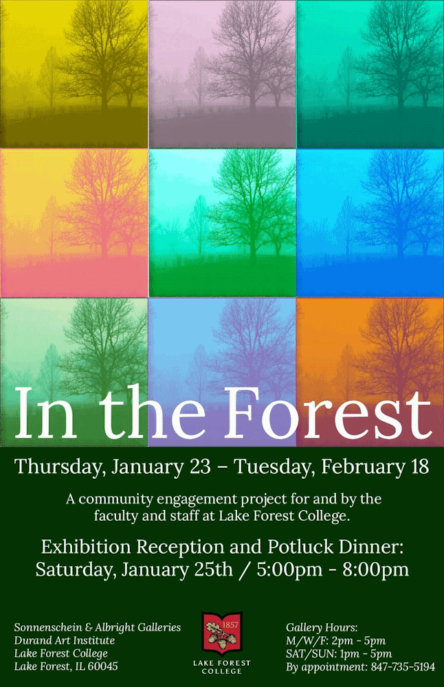 In the Forest poster