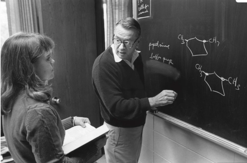 Professor at blackboard with student