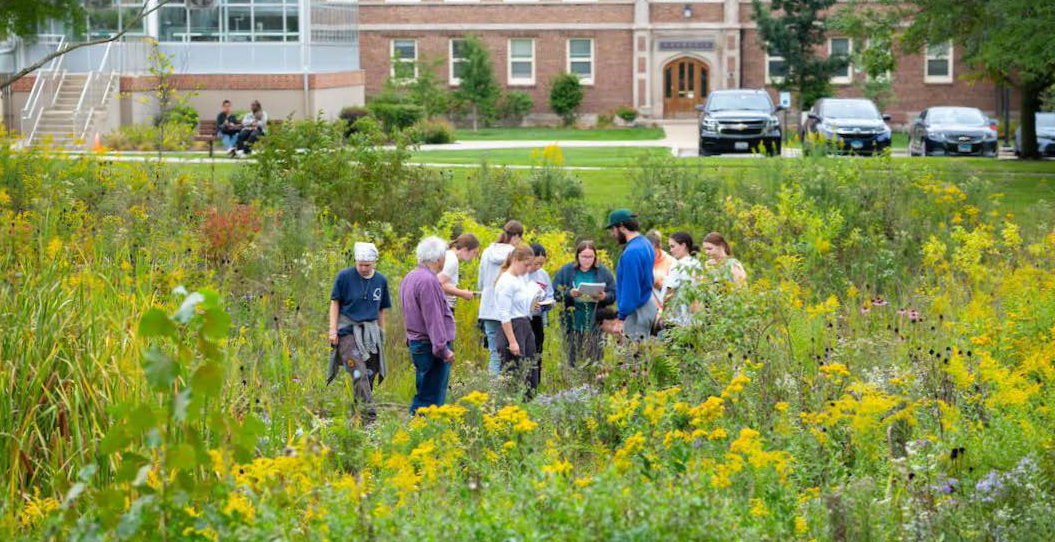 Picture of students in class standing in the rain garden