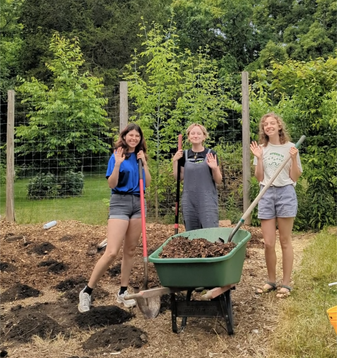 students working in the garden gaining experience