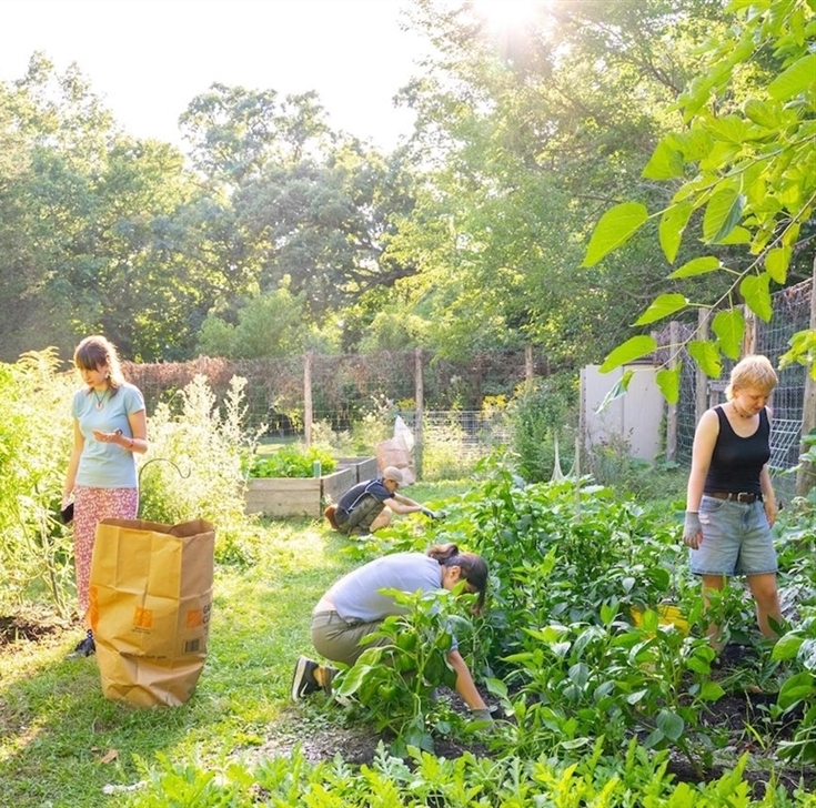 students volunteering in the campus garden