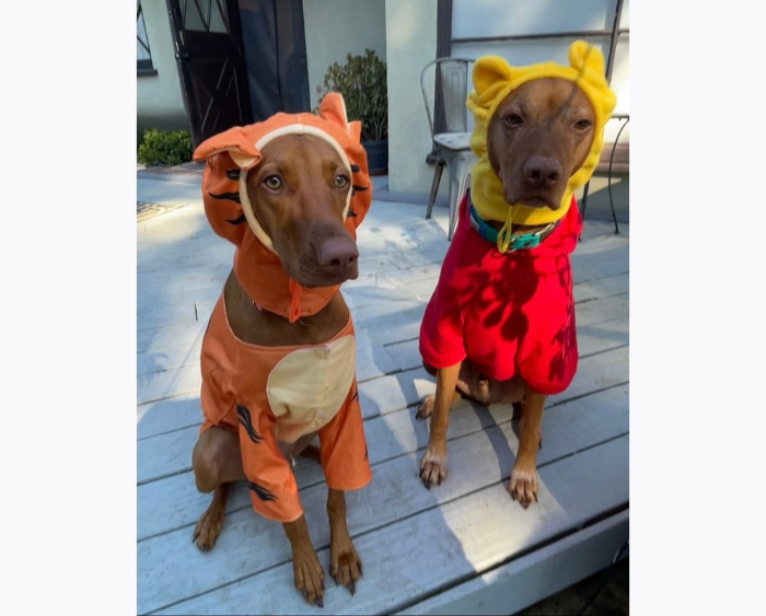 Cashew and Kiki (Michelle Wong '97)