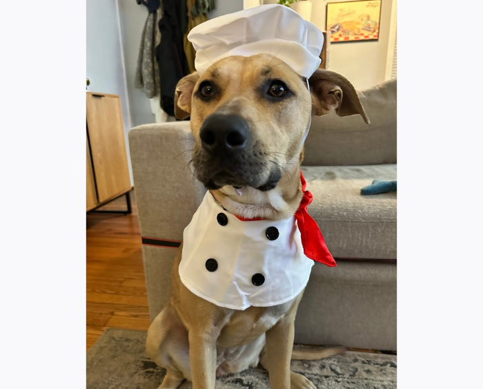 Dottie