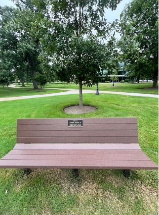memorial bench