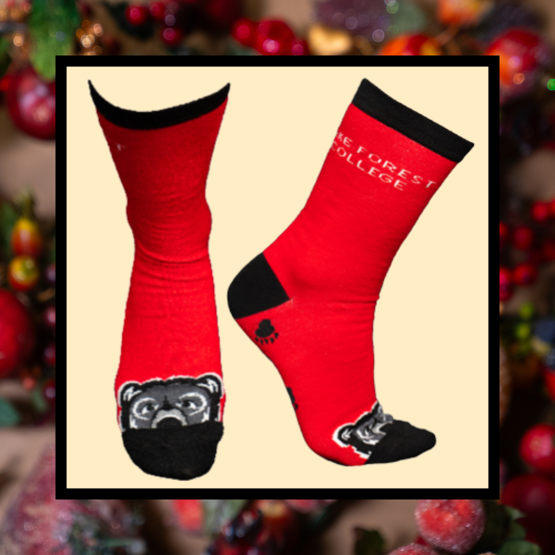 Giving Tuesday socks