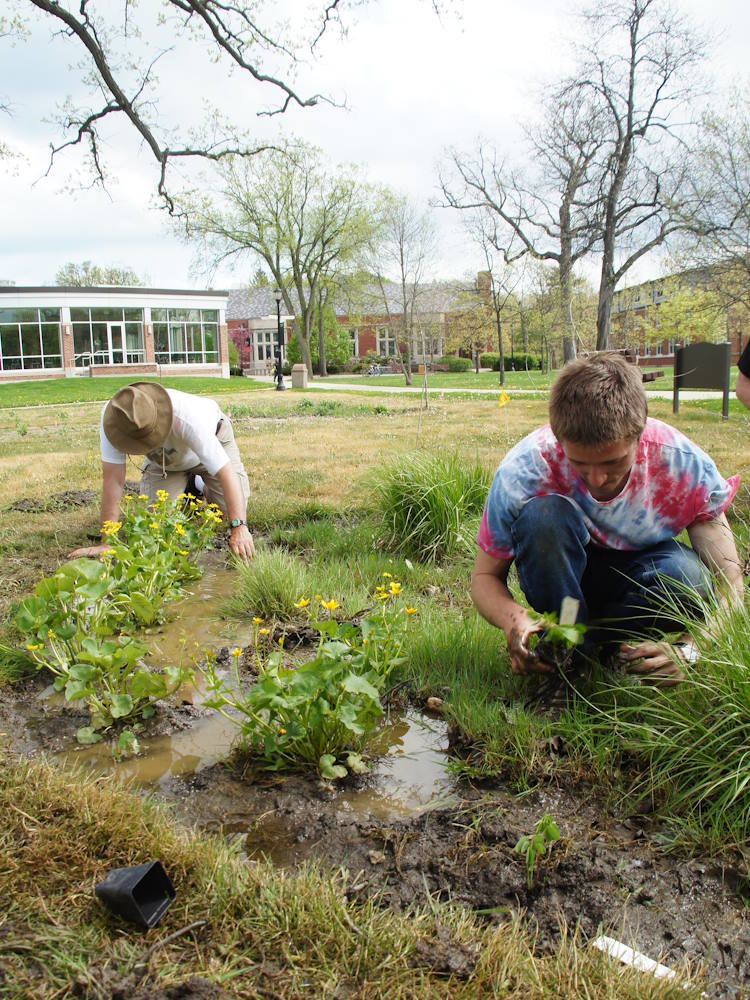 Students planting on Middle Campus