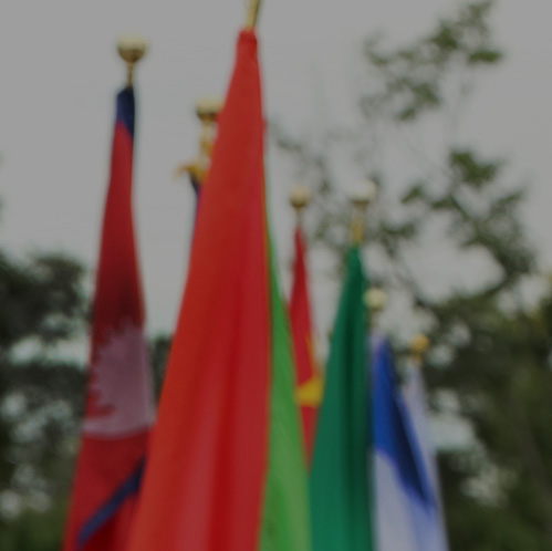 Law and Public Service