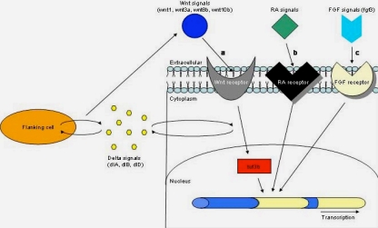 Mann Figure 1