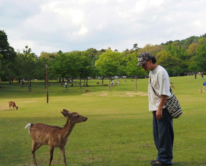 Juan José feeding one of Nara’s famous free-roaming deer.