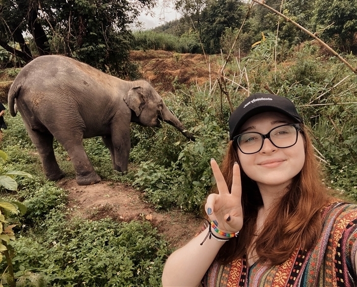 Elephant Sanctuary