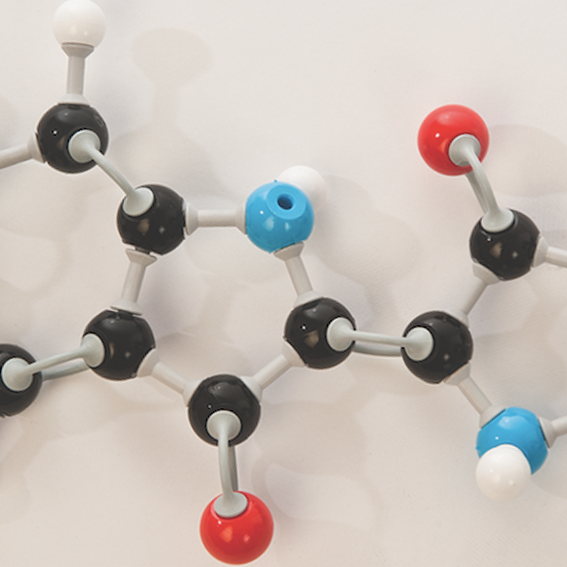 molecules model