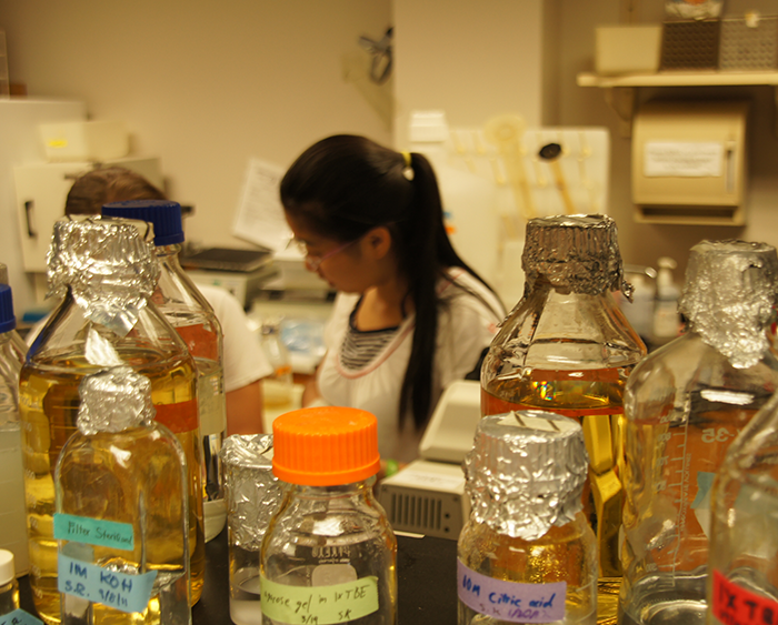 students in biology lab
