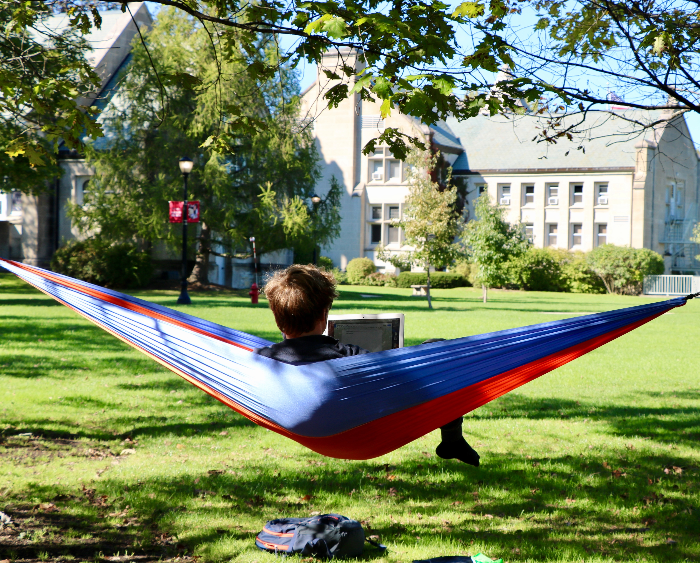 student sitting in a hammock on campus