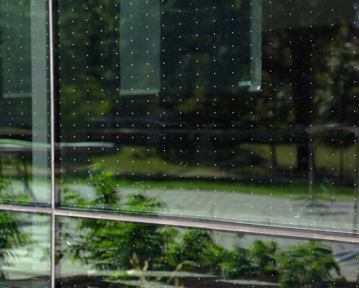 up close shot of bird glass