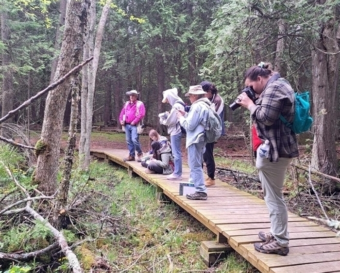 students on boardwalk in woods