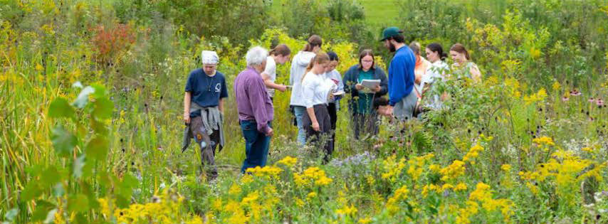class in green field doing fieldwork