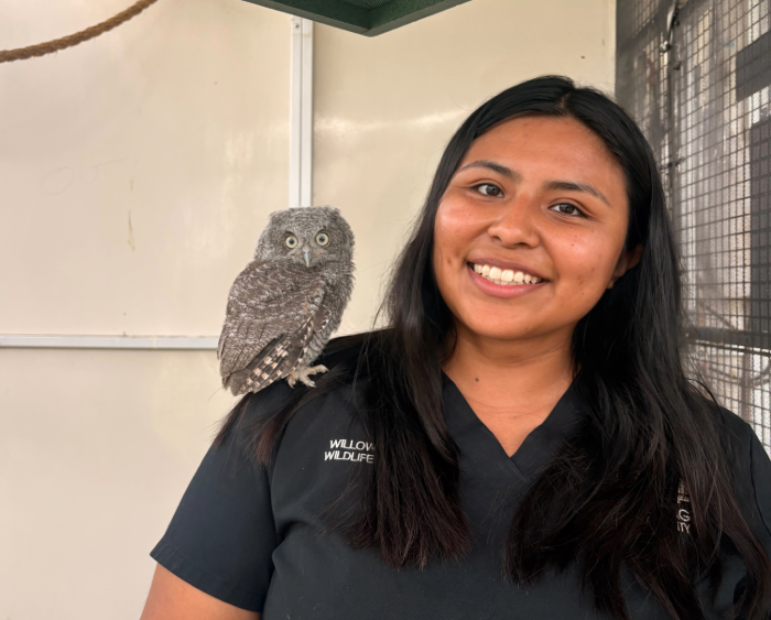 nancy with an owl on her shoulder
