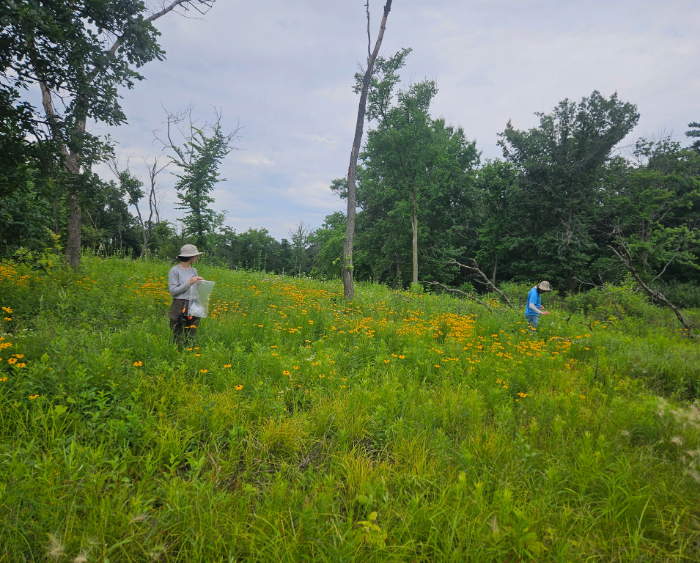 will in the field