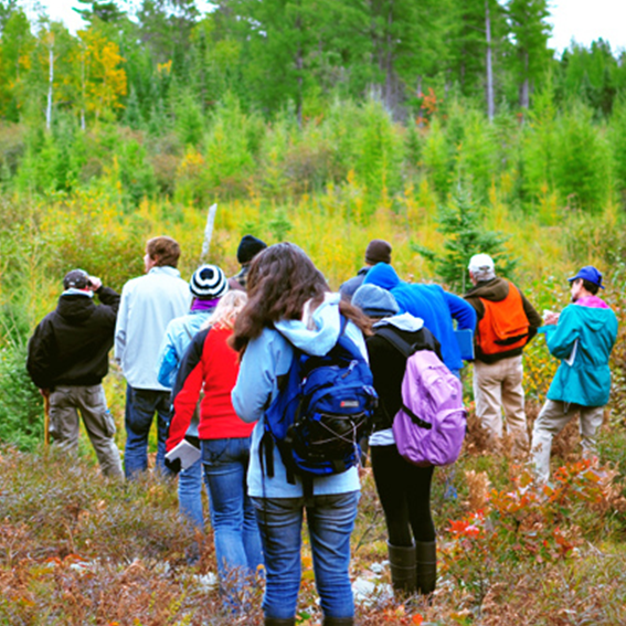 Environmental Studies