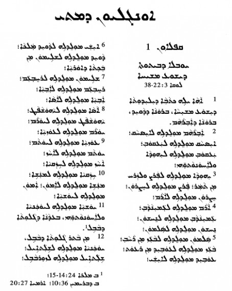 Figure 3. Excerpt from an Assyrian text depicting Sureth Script