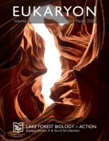 Eukaryon Volume 16 Cover