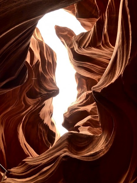 Volume 16 Cover photo, "Hippocampus" by Philip Freund