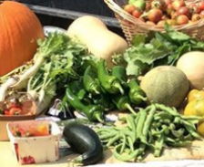 produce harvested from the student garden