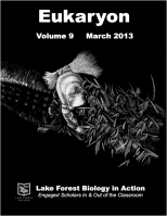 Eukaryon Volume 9