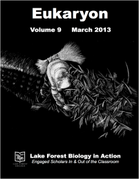 Eukaryon Volume 9
